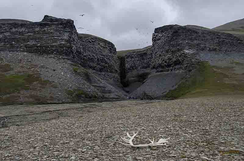 107 - Noruega - islas Svalbard - isla de Edgeoya - Diskobukta